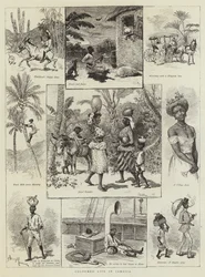 Farbiges Leben in Jamaika